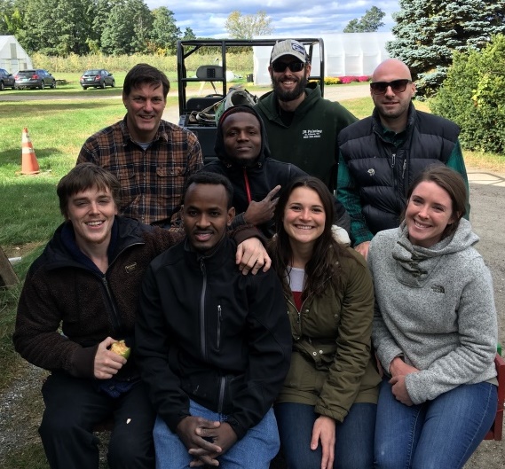 Group of Rhinos apple picking
